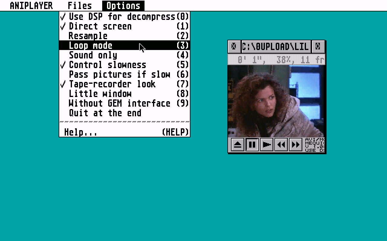 Aniplayer atari screenshot